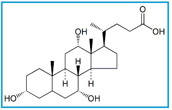 Ursodeoxycholic Acid EP Impurity B